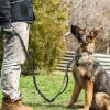 imagerabbitgoo Tactical Bungee Dog Leash with Shock Absorption Military Training Leash with 2 Padded Control Handles for Medium Large Dogs 52FT BrownBlack