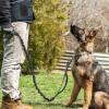 imagerabbitgoo Tactical Bungee Dog Leash with Shock Absorption Military Training Leash with 2 Padded Control Handles for Medium Large Dogs 52FT BrownBlack