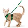 imagerabbitgoo Cat Harness and Leash for Walking Escape Proof Soft Adjustable Vest Harnesses for Cats Easy Control Breathable Reflective Strips Jacket Emerald XSGrass Green