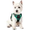 imagerabbitgoo Dog Harness No Pull with 2 Leash Clips Adjustable Soft Padded Reflective Oxford No Choke Pet Vest with Easy Control Handle for Large Dogs Pink LBlack  Turquoise