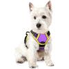 Purple & Yellow