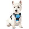 imagerabbitgoo Dog Harness No Pull with 2 Leash Clips Adjustable Soft Padded Reflective Oxford No Choke Pet Vest with Easy Control Handle for Large Dogs Pink LBlue