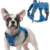 Blue Camo