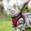 imagerabbitgoo Cat Harness and Leash Set for Walking Escape Proof Adjustable Soft Kittens Vest with Reflective Strip for Cats Comfortable Outdoor Vest Purple SRed