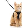 imagerabbitgoo Cat Harness and Leash Set for Walking Escape Proof Adjustable Soft Kittens Vest with Reflective Strip for Cats Comfortable Outdoor Vest Purple SBlack