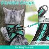 imagerabbitgoo Cat Harness and Leash Set for Walking Escape Proof Adjustable Soft Kittens Vest with Reflective Strip for Cats Comfortable Outdoor Vest Purple SGreen