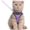 imagerabbitgoo Cat Harness and Leash Set for Walking Escape Proof Adjustable Soft Kittens Vest with Reflective Strip for Cats Comfortable Outdoor Vest Purple SLight Purple