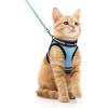 imagerabbitgoo Cat Harness and Leash Set for Walking Escape Proof Adjustable Soft Kittens Vest with Reflective Strip for Cats Comfortable Outdoor Vest Purple SLight Blue