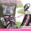 imagerabbitgoo Cat Harness and Leash Set for Walking Escape Proof Adjustable Soft Kittens Vest with Reflective Strip for Cats Comfortable Outdoor Vest Purple SPink