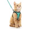 imagerabbitgoo Cat Harness and Leash Set for Walking Escape Proof Adjustable Soft Kittens Vest with Reflective Strip for Cats Comfortable Outdoor Vest Purple SGreen