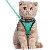 imagerabbitgoo Cat Harness and Leash Set for Walking Escape Proof Adjustable Soft Kittens Vest with Reflective Strip for Cats Comfortable Outdoor Vest Purple SGreen