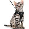 imagerabbitgoo Cat Harness and Leash Set for Walking Escape Proof Adjustable Soft Kittens Vest with Reflective Strip for Cats Comfortable Outdoor Vest Purple SBlack