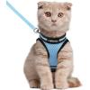 imagerabbitgoo Cat Harness and Leash Set for Walking Escape Proof Adjustable Soft Kittens Vest with Reflective Strip for Cats Comfortable Outdoor Vest Purple SLight Blue
