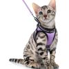 imagerabbitgoo Cat Harness and Leash Set for Walking Escape Proof Adjustable Soft Kittens Vest with Reflective Strip for Cats Comfortable Outdoor Vest Purple SLight Purple