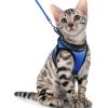 imagerabbitgoo Cat Harness and Leash Set for Walking Escape Proof Adjustable Soft Kittens Vest with Reflective Strip for Cats Comfortable Outdoor Vest Purple SBlue