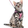 imagerabbitgoo Cat Harness and Leash Set for Walking Escape Proof Adjustable Soft Kittens Vest with Reflective Strip for Cats Comfortable Outdoor Vest Purple SPink