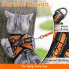 imagerabbitgoo Cat Harness and Leash Set for Walking Escape Proof Adjustable Soft Kittens Vest with Reflective Strip for Cats Comfortable Outdoor Vest Purple SLight Orange