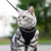 imagerabbitgoo Cat Harness and Leash Set for Walking Escape Proof Adjustable Soft Kittens Vest with Reflective Strip for Cats Comfortable Outdoor Vest Purple SBlack