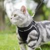imagerabbitgoo Cat Harness and Leash Set for Walking Escape Proof Adjustable Soft Kittens Vest with Reflective Strip for Cats Comfortable Outdoor Vest Purple SBlack