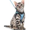 imagerabbitgoo Cat Harness and Leash Set for Walking Escape Proof Adjustable Soft Kittens Vest with Reflective Strip for Cats Comfortable Outdoor Vest Purple SLight Blue