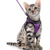 imagerabbitgoo Cat Harness and Leash Set for Walking Escape Proof Adjustable Soft Kittens Vest with Reflective Strip for Cats Comfortable Outdoor Vest Purple SPurple