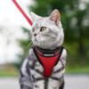 imagerabbitgoo Cat Harness and Leash Set for Walking Escape Proof Adjustable Soft Kittens Vest with Reflective Strip for Cats Comfortable Outdoor Vest Purple SRed