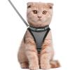 imagerabbitgoo Cat Harness and Leash Set for Walking Escape Proof Adjustable Soft Kittens Vest with Reflective Strip for Cats Comfortable Outdoor Vest Purple SGrey