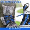 imagerabbitgoo Cat Harness and Leash Set for Walking Escape Proof Adjustable Soft Kittens Vest with Reflective Strip for Cats Comfortable Outdoor Vest Purple SBlue