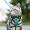 imagerabbitgoo Cat Harness and Leash Set for Walking Escape Proof Adjustable Soft Kittens Vest with Reflective Strip for Cats Comfortable Outdoor Vest Purple SGreen