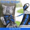 imagerabbitgoo Cat Harness and Leash Set for Walking Escape Proof Adjustable Soft Kittens Vest with Reflective Strip for Cats Comfortable Outdoor Vest Purple SBlue
