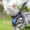 imagerabbitgoo Cat Harness and Leash Set for Walking Escape Proof Adjustable Soft Kittens Vest with Reflective Strip for Cats Comfortable Outdoor Vest Purple SLight Blue