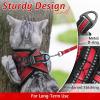 imagerabbitgoo Cat Harness and Leash Set for Walking Escape Proof Adjustable Soft Kittens Vest with Reflective Strip for Cats Comfortable Outdoor Vest Purple SRed