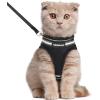 imagerabbitgoo Cat Harness and Leash Set for Walking Escape Proof Adjustable Soft Kittens Vest with Reflective Strip for Cats Comfortable Outdoor Vest Purple SBlack