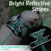 imagerabbitgoo Cat Harness and Leash for Walking Escape Proof Soft Adjustable Vest Harnesses for Cats Easy Control Breathable Reflective Strips Jacket Emerald XSEmerald