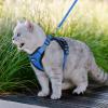 imagerabbitgoo Cat Harness and Leash for Walking Escape Proof Soft Adjustable Vest Harnesses for Cats Easy Control Breathable Reflective Strips Jacket Emerald XSNavy Blue