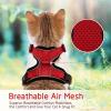 imagerabbitgoo Cat Harness and Leash for Walking Escape Proof Soft Adjustable Vest Harnesses for Cats Easy Control Breathable Reflective Strips Jacket Emerald XSRed