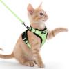 imagerabbitgoo Cat Harness and Leash for Walking Escape Proof Soft Adjustable Vest Harnesses for Cats Easy Control Breathable Reflective Strips Jacket Emerald XSLight Green