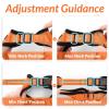 imagerabbitgoo Cat Harness and Leash for Walking Escape Proof Soft Adjustable Vest Harnesses for Cats Easy Control Breathable Reflective Strips Jacket Emerald XSOrange