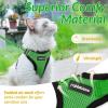 imagerabbitgoo Cat Harness and Leash for Walking Escape Proof Soft Adjustable Vest Harnesses for Cats Easy Control Breathable Reflective Strips Jacket Emerald XSGrass Green