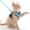 imagerabbitgoo Cat Harness and Leash for Walking Escape Proof Soft Adjustable Vest Harnesses for Cats Easy Control Breathable Reflective Strips Jacket Emerald XSLight Blue