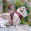 imagerabbitgoo Cat Harness and Leash for Walking Escape Proof Soft Adjustable Vest Harnesses for Cats Easy Control Breathable Reflective Strips Jacket Emerald XSRed