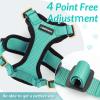 imagerabbitgoo Cat Harness and Leash for Walking Escape Proof Soft Adjustable Vest Harnesses for Cats Easy Control Breathable Reflective Strips Jacket Emerald XSEmerald
