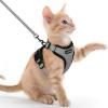 imagerabbitgoo Cat Harness and Leash for Walking Escape Proof Soft Adjustable Vest Harnesses for Cats Easy Control Breathable Reflective Strips Jacket Emerald XSGrey