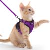 imagerabbitgoo Cat Harness and Leash for Walking Escape Proof Soft Adjustable Vest Harnesses for Cats Easy Control Breathable Reflective Strips Jacket Emerald XSPurple