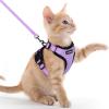 imagerabbitgoo Cat Harness and Leash for Walking Escape Proof Soft Adjustable Vest Harnesses for Cats Easy Control Breathable Reflective Strips Jacket Emerald XSLight Purple