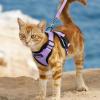 imagerabbitgoo Cat Harness and Leash for Walking Escape Proof Soft Adjustable Vest Harnesses for Cats Easy Control Breathable Reflective Strips Jacket Emerald XSLight Purple