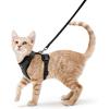 imagerabbitgoo Cat Harness and Leash for Walking Escape Proof Soft Adjustable Vest Harnesses for Cats Easy Control Breathable Reflective Strips Jacket Emerald XSBlack