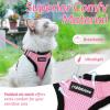 imagerabbitgoo Cat Harness and Leash for Walking Escape Proof Soft Adjustable Vest Harnesses for Cats Easy Control Breathable Reflective Strips Jacket Emerald XSPink