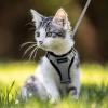 imagerabbitgoo Cat Harness and Leash for Walking Escape Proof Soft Adjustable Vest Harnesses for Cats Easy Control Breathable Reflective Strips Jacket Emerald XSGrey