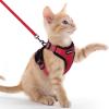 imagerabbitgoo Cat Harness and Leash for Walking Escape Proof Soft Adjustable Vest Harnesses for Cats Easy Control Breathable Reflective Strips Jacket Emerald XSRed